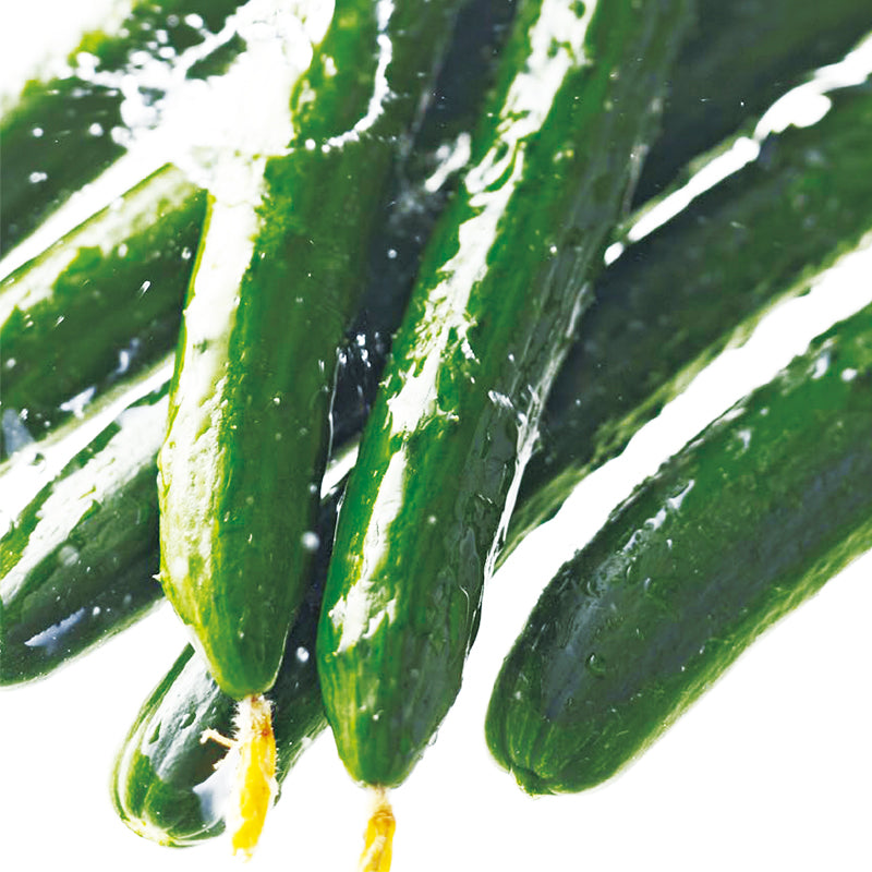 きゅうり 楽天市場】野菜種子 ミニキュウリ「リル」 18粒／50粒／100粒／200粒